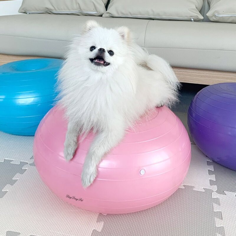딩동펫 강아지 짐볼, 블루, 1개