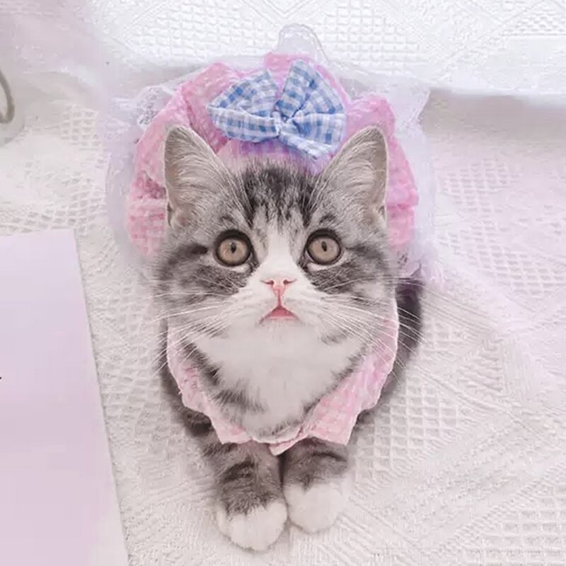 딩동펫 반려동물 시어서커 체크 나시 원피스, 블루, 1개