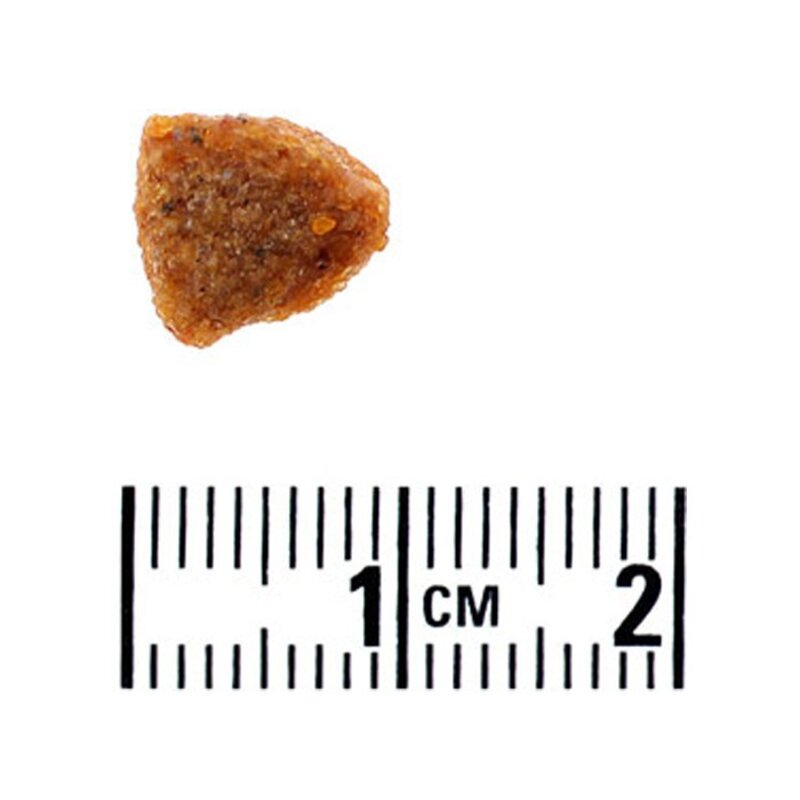 뉴트리나 전연령 울트라 액티브 건식사료, 닭, 15kg, 1개