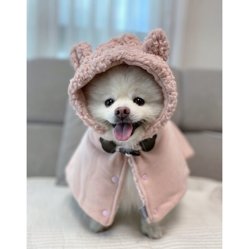 강아지 곰돌이 망토 담요 후리스 고양이 케이프 포근 유모차 개모차 애견 겨울옷 숄 후드, 화이트, 1개