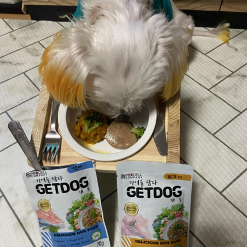 베러펫 개똑 강아지 습식사료 닭고기+쇠고기+연어 70g 12개