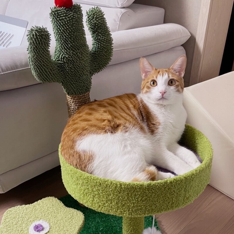 PETCA 고양이 기둥형 3단 선인장 스크래쳐 캣타워 고양이장난감, 그린, 1개