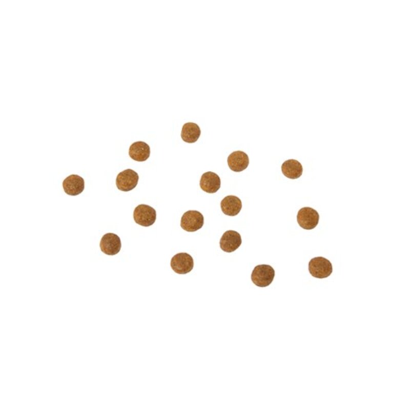 강아지 잘먹잘싸 전연령 애견 건식사료, 연어, 2kg, 1개