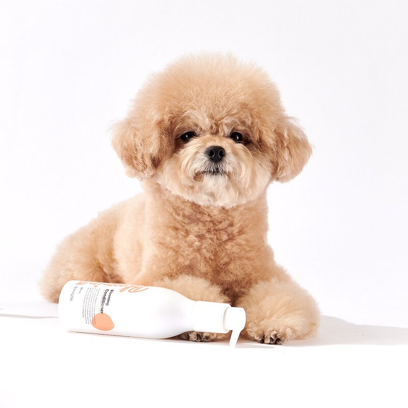 브리지테일 블루밍 컨디셔너 강아지 린스 보습영양 윤기, 200ml, 1개