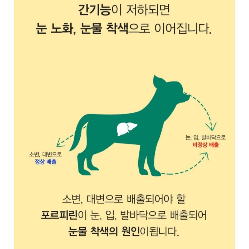 펫생각 강아지 눈 영양제 눈건강 눈물자국 백내장 녹내장 예방, 2개(4개월분)
