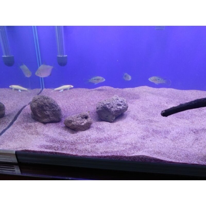 샌드라인 수족관 바닥재 자연 적사 R3 2kg 0.3~0.7mm, RED, 1개