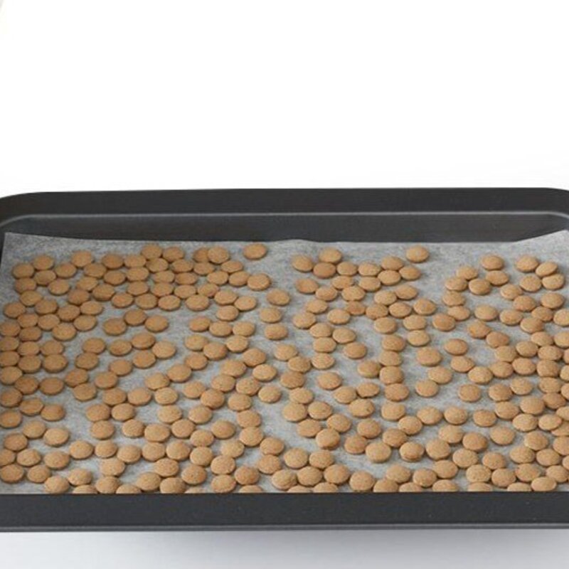 닥터독 생후 3개월 이후 위장 오리 건식사료, 소화기능 개선, 250g, 1개