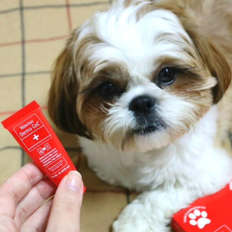 강아지 고양이 피부병 연고 후시딘 지간염 발습진 약 귀염증약 피부약 농피증 링웜 진드기 상처 소독약 발습진 곰팡이성 피부염, 1개, 10ml