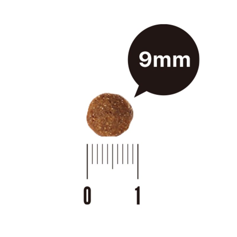 유한양행 레시피브이 강아지 시니어 맞춤식 사료, 3.9kg, 1개