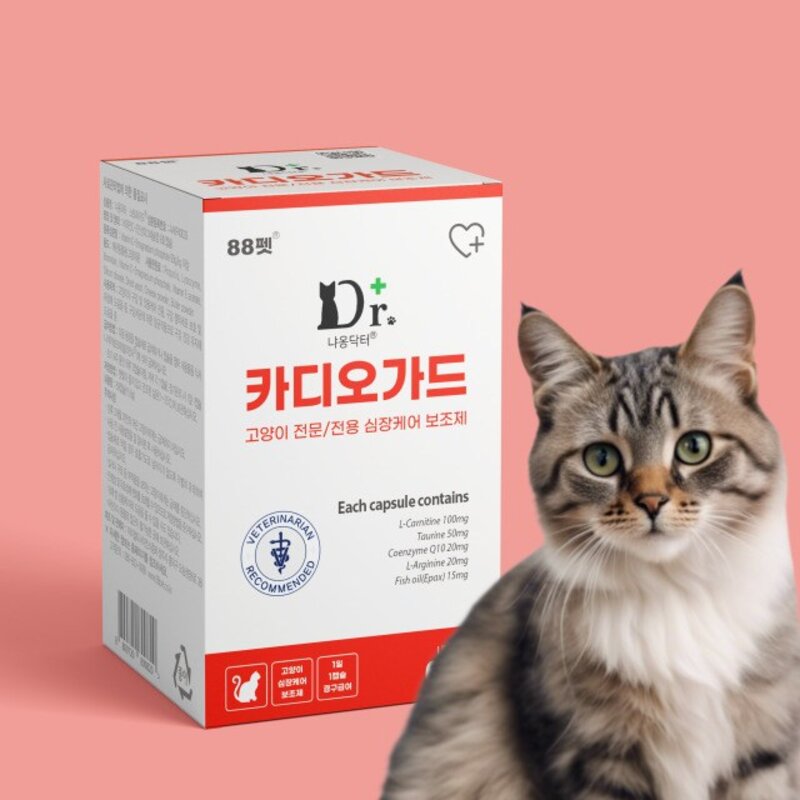 냐옹닥터 카디오가드 고양이 심장 영양제 강철심장 L카르니틴 코엔자임Q10 비대성 심근증 심장 건강 유지 보조제, 60캡슐(2개월)