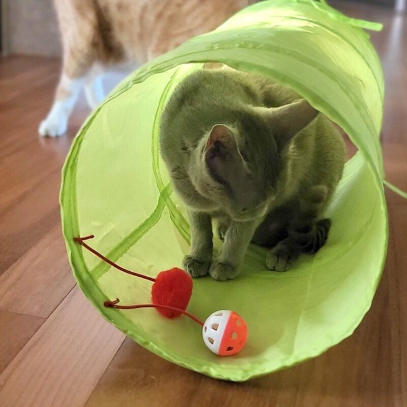 네이처펫 고양이 터널, 그린, 2개