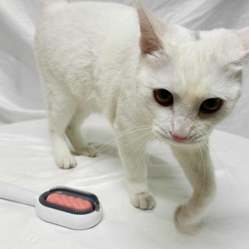멍냥이노리터 강아지빗 강아지 고양이 안아픈 애견 개 펫 대형견 단모 장모 죽은털 제거 빗 브러쉬, 핑크, 1개