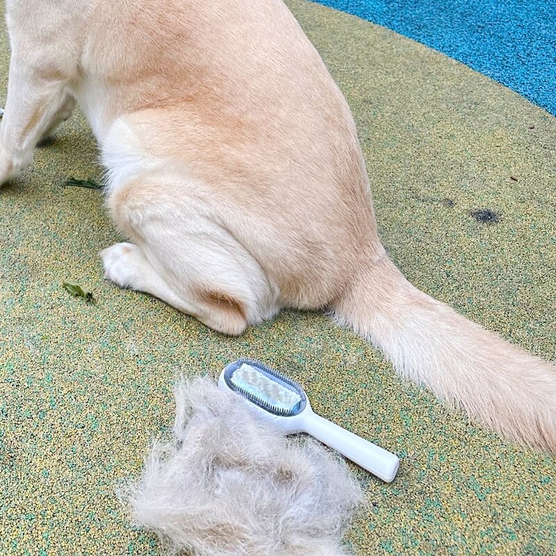 멍냥이노리터 강아지빗 강아지 고양이 안아픈 애견 개 펫 대형견 단모 장모 죽은털 제거 빗 브러쉬, 핑크, 1개