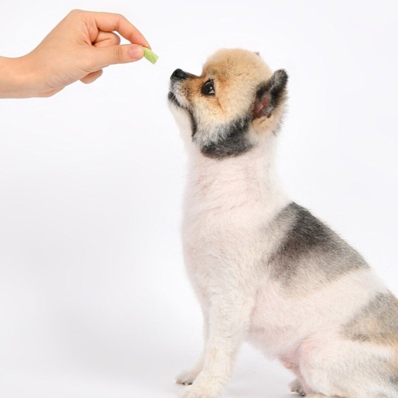 올치 강아지 고양이 동결건조 간식 한상 BF6705, 야채믹스, 50g, 1개