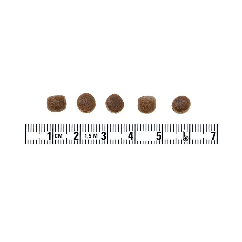 탐사 퍼피 도그푸드, 연어, 2.5kg, 1개