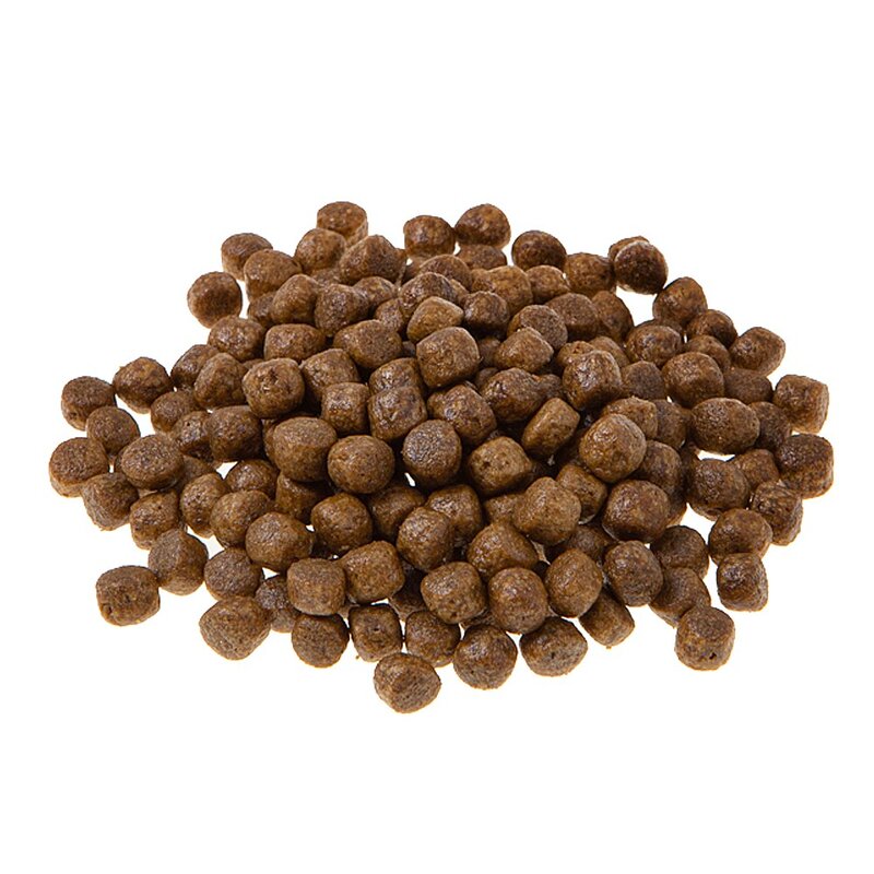 탐사 퍼피 도그푸드, 연어, 2.5kg, 1개