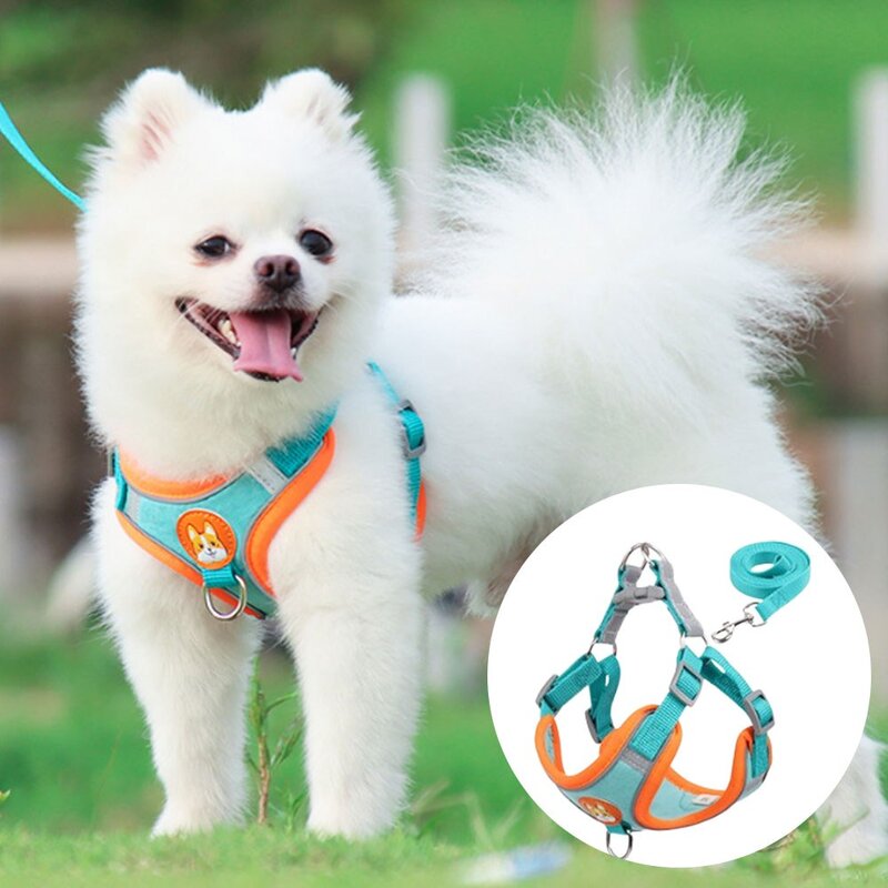 데일리퍼블릭 중소형견 애견 강아지 하네스 리드줄 포함, 퍼플, 1개