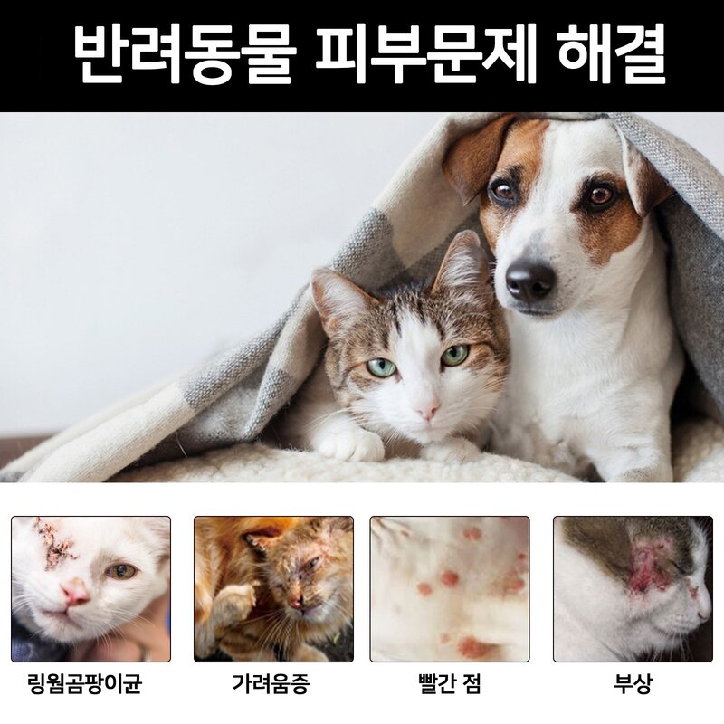 반려동물 고양이 개피부병 링웜 곰팡이성피부염 농피증 고양이강아지습진스프레이, 1개, 30ml