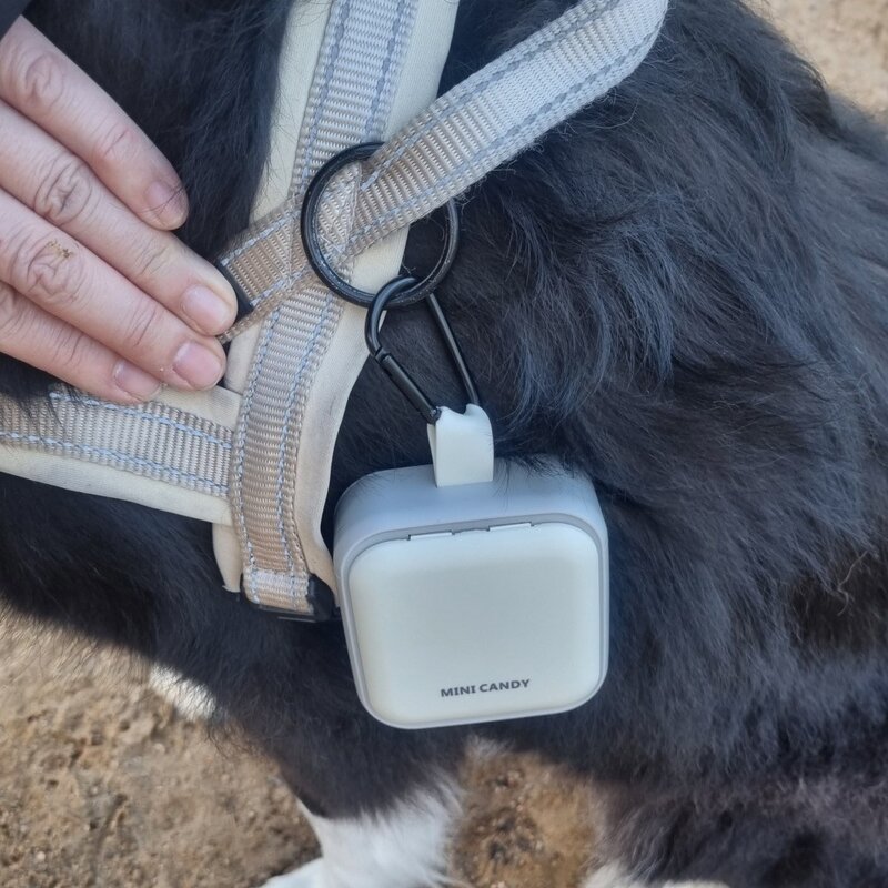위드레오 강아지 간식통 휴대용 사료통 산책용품 마카롱컬러 카라비너 포함, 핑크, 1개