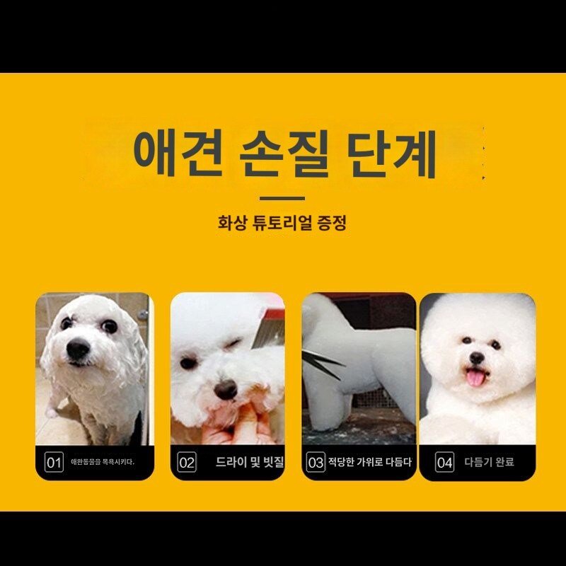 강아지 털깎기 애견 미용가위 전문 강아지 푸들 털굽이 커팅 및 트리밍 도구 전용 세트, 가족사진 세트, 1개