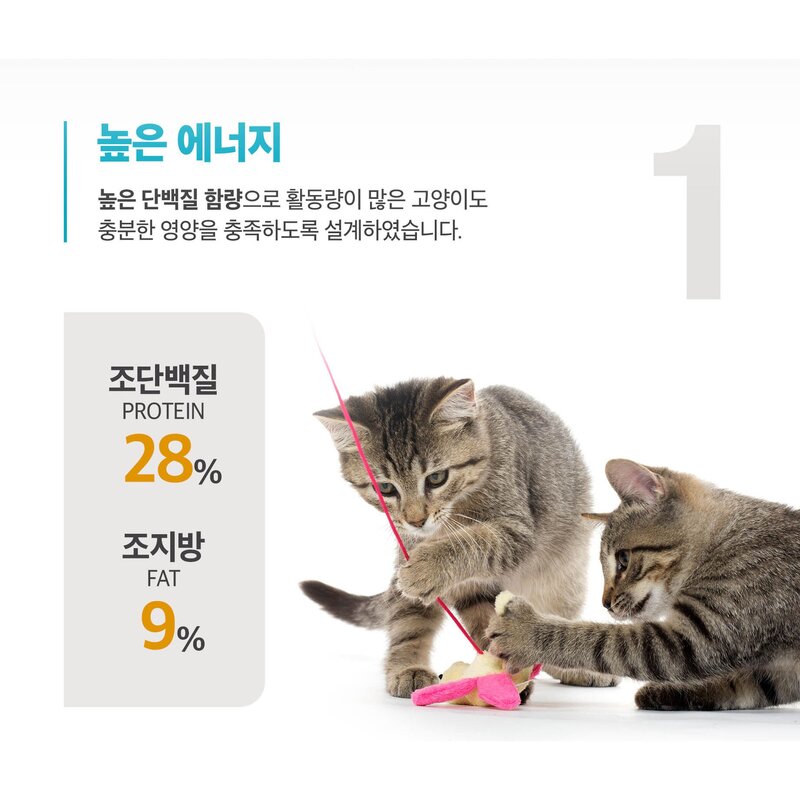 뉴트리나 프라임캣 블루, 1개, 20kg, 닭