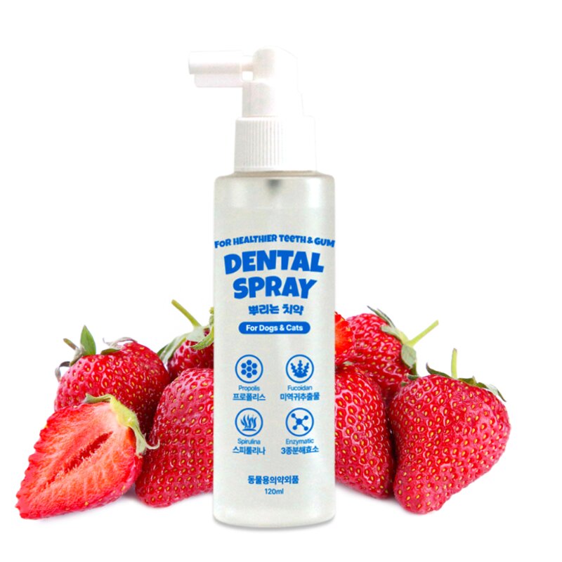 붐붐포 반려동물 효소 뿌리는 치약 구강청결제 덴탈 스프레이, 120ml, 1개