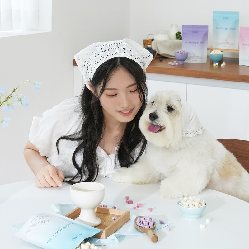 하이루디 강아지 그릭요거트 동결건조 유산균 간식, 1개, 40g, 블루베리