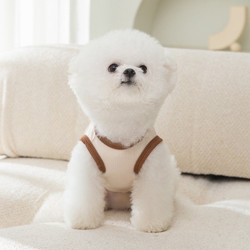 강아지 패딩 곰돌이 옷 조끼 겨울 방한 개옷 멍멍이옷 고양이 옷, XXL(권장 체중 15-20kg), 베이지 남성모델