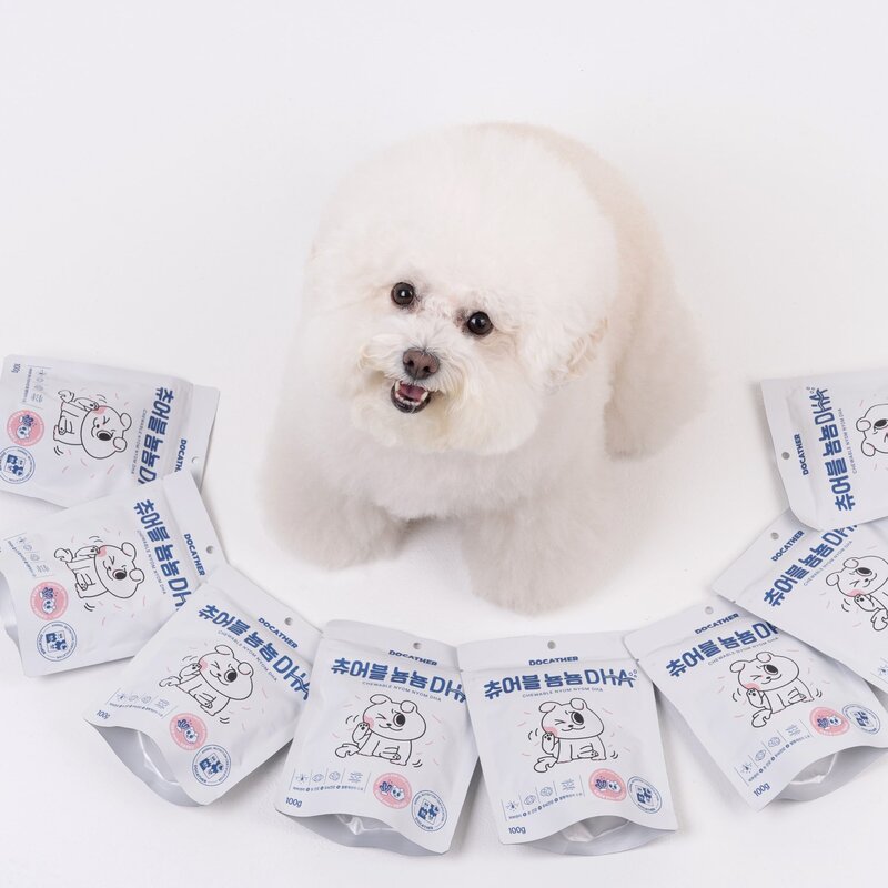 강아지 피부 피모 영양제 츄어블 뇸뇸 미세조류 DHA 100g, 1팩