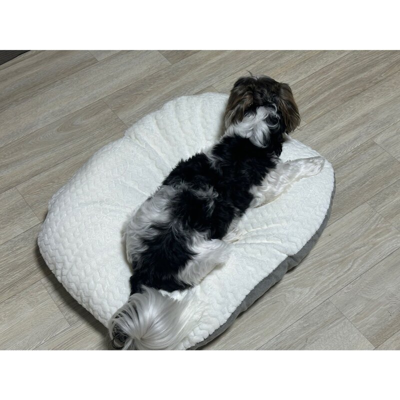 댕쑥냥쑥 강아지 방석 쿠션 꿀잠 무중력 방석, 1개