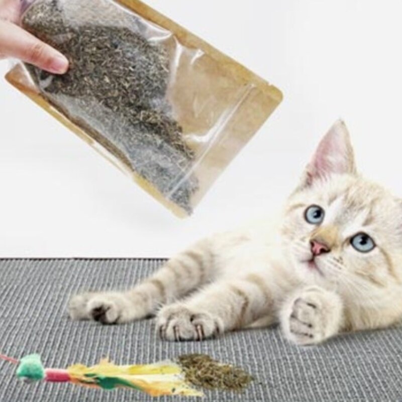 포트렘 고양이 캣닢 가루, 100g, 2개