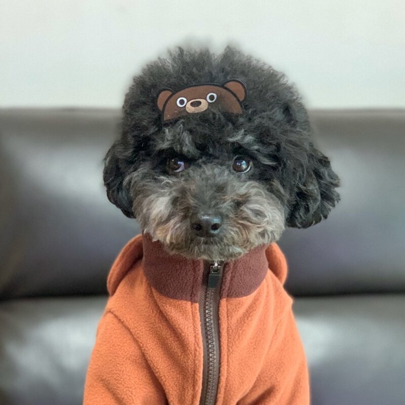 패션펫플 내 얼굴을 부탁해 펫 페이스 스티커 반려동물 액세서리, 1개, 남아용