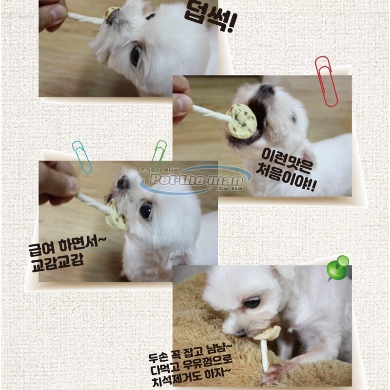 참좋은간식 캔디홀릭 10p 6개 애견 고기 막대사탕 강아지 간식, 소고기&대구6개