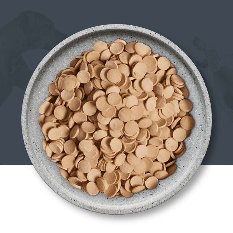 닥터독 전연령용 칠면조 강아지 기능성 사료, 다이어트, 2kg, 1개