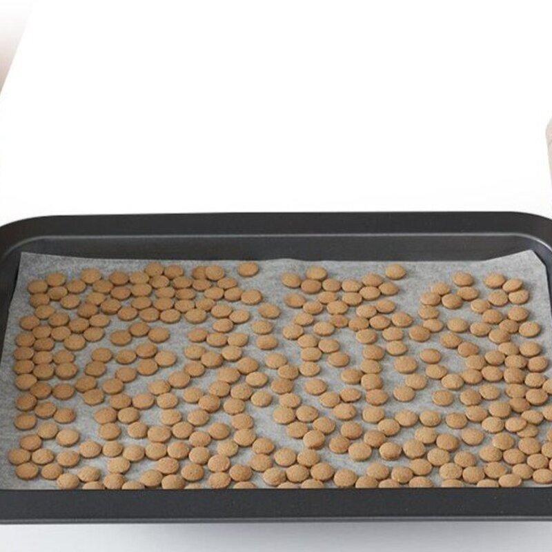 닥터독 생후 3개월 이후 관절 양고기 건식사료, 뼈/관절 강화, 250g, 1개