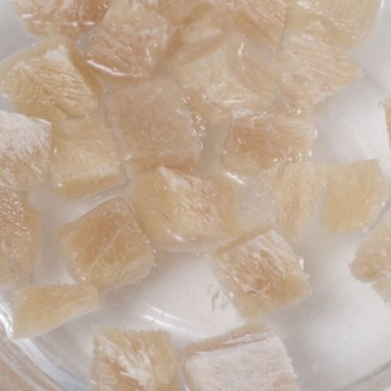 펫트리온 반려동물 트릿 유산균함유 동결건조 간식, 북어, 120g, 1개