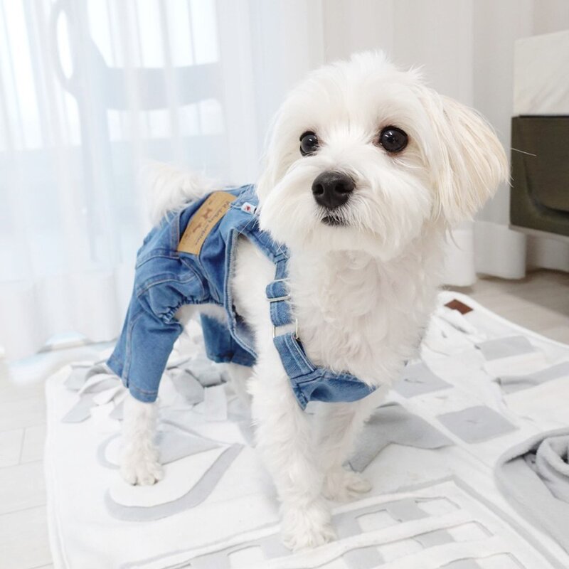 온나뷰 강아지 애견 봄 패션 데님 소형견 올인원 청멜빵바지, 사진색, 1개