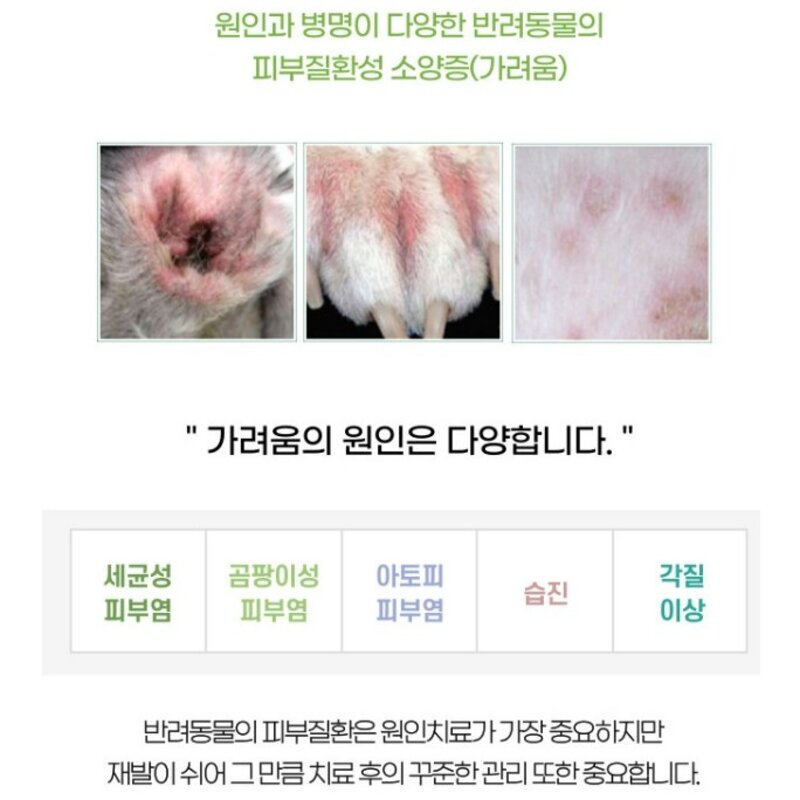 강아지 피부약 고양이 피부병 애견 습진 링웜 농피증 연고 곰팡이성 피부염 상처 소독약 가려움증 각질 발습진 발사탕 스프레이, 1개, 200ml