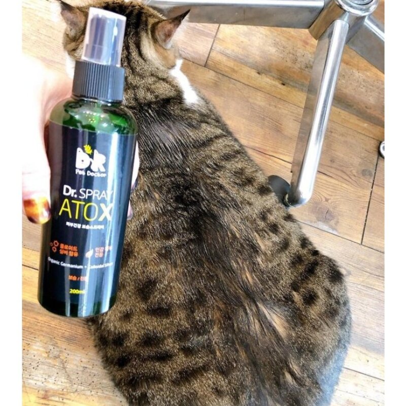 강아지 피부약 고양이 피부병 애견 습진 링웜 농피증 연고 곰팡이성 피부염 상처 소독약 가려움증 각질 발습진 발사탕 스프레이, 1개, 200ml