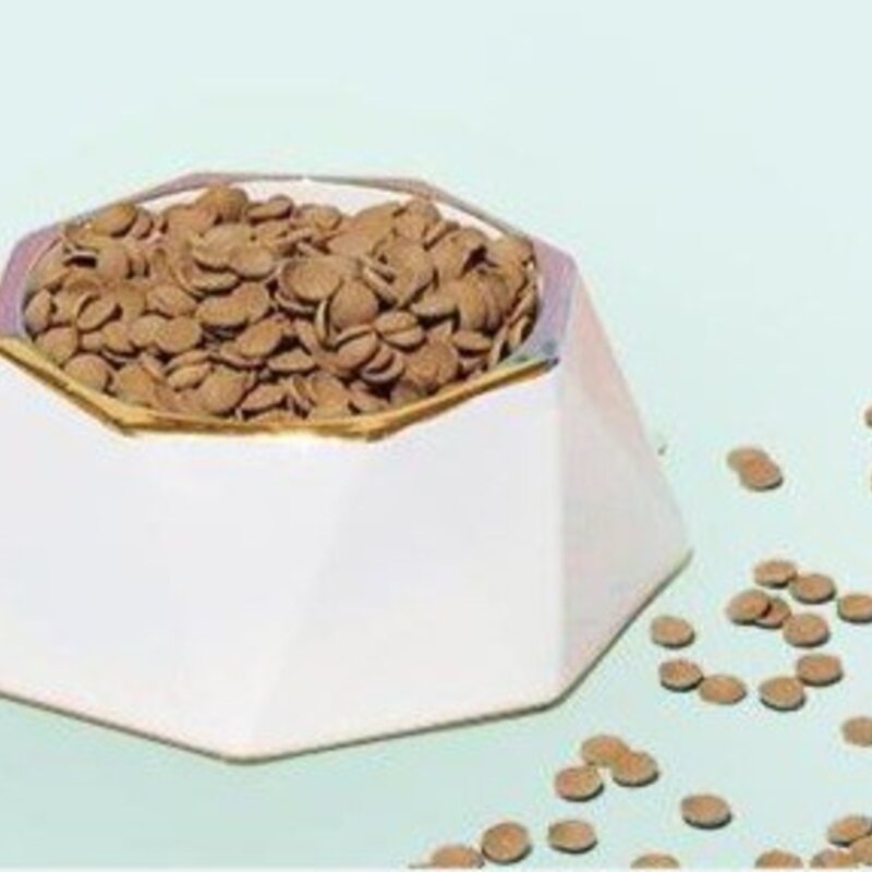 닥터독 생후 3개월 이후 다이어트 건식사료, 칠면조, 250g, 1개