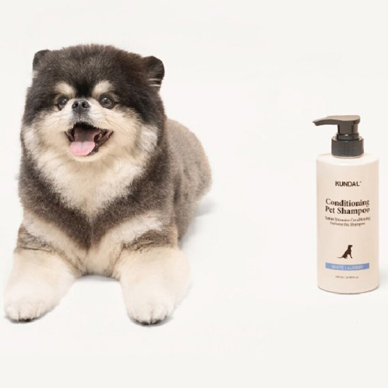 쿤달 강아지 네이처 인텐시브 컨디셔닝 퍼퓸 샴푸 화이트 런더리, 2개, 500ml