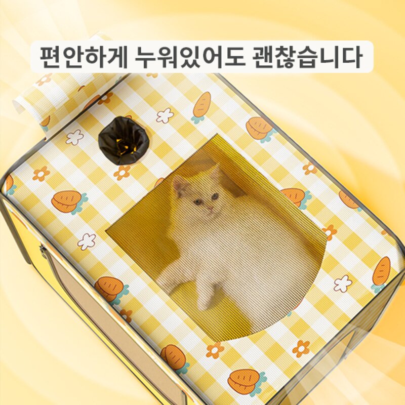 애완동물 드라이룸 고양이 강아지 드라이기 가정용 소형 드라이어 건조기 목욕 드라이룸, 노란색, 1개