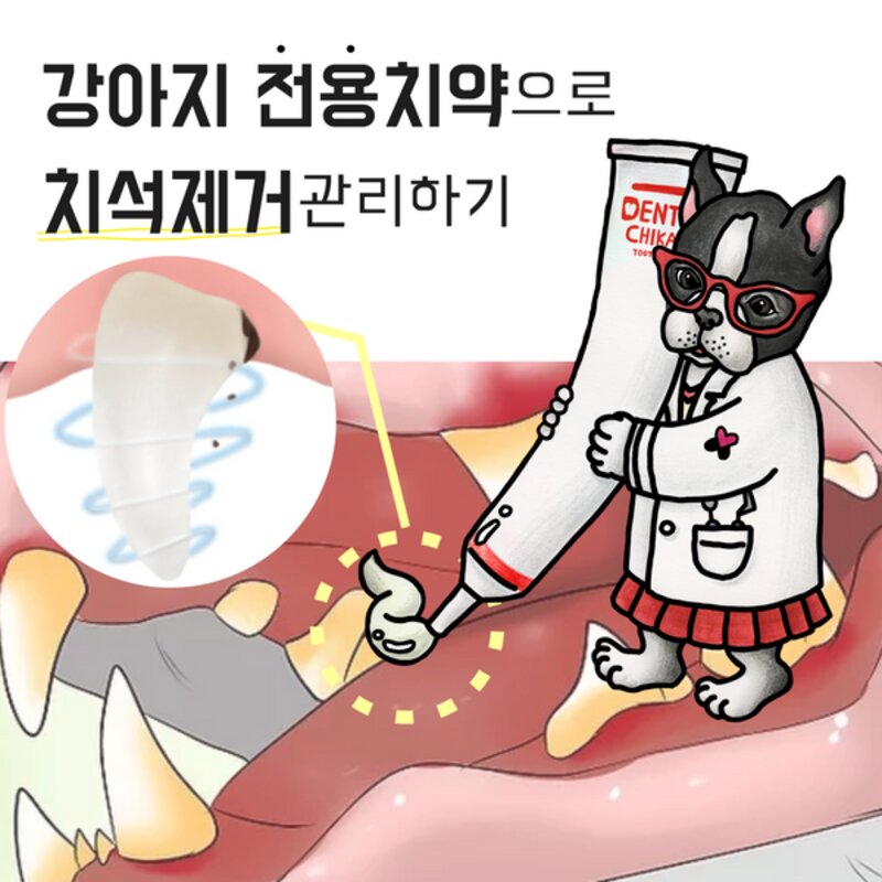 닥터페트라 덴티치카 치약(강아지), 1개, 60g