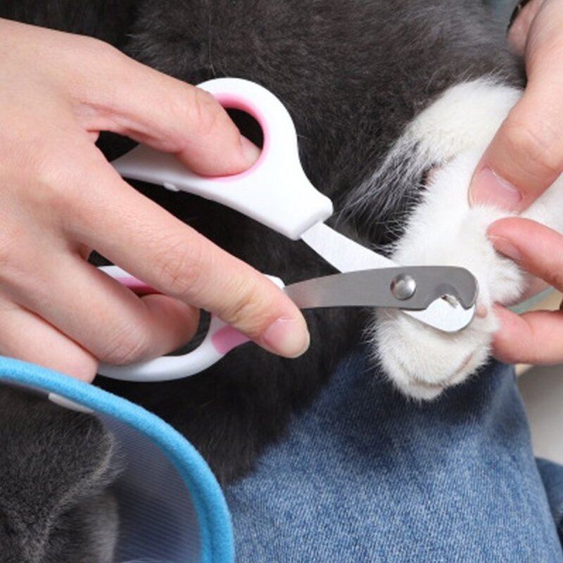 강아지 고양이 발톱깎이 반려동물 발톱깎이 그라인더 세트, B, 블랙, 1개