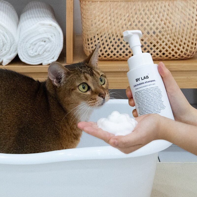바이랩 고양이 저자극 버블샴푸, 270ml, 2세트