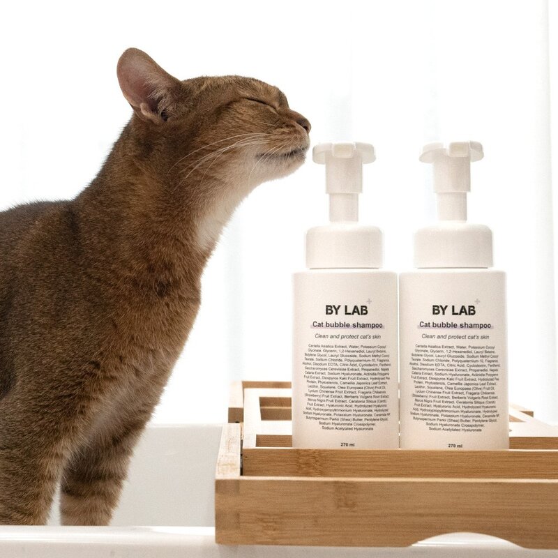 바이랩 고양이 저자극 버블샴푸, 270ml, 2세트