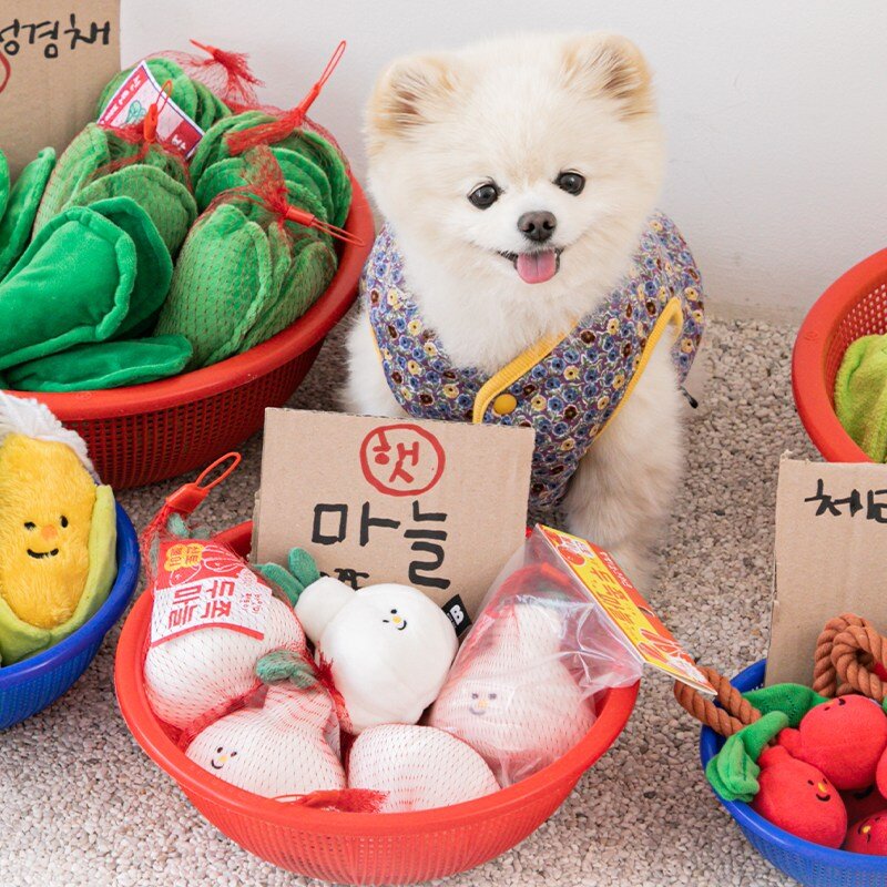 바잇미 강아지 농산물 장난감 마늘 + 빨간색 망 세트, 화이트, 1세트