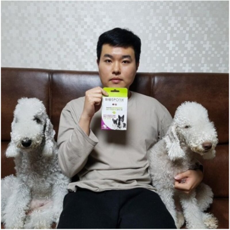 강아지 사상충 외부기생충 원인 심장 해충 방지 예방 5매입 모기 진드기 퇴치제 스팟온+가성심연구소 물티슈+정품 스티커 동봉, 5개, 1ml