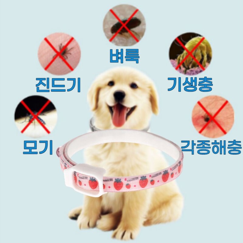 강아지 고양이 모기 진드기 해충퇴치 목걸이, 그레이, 1개