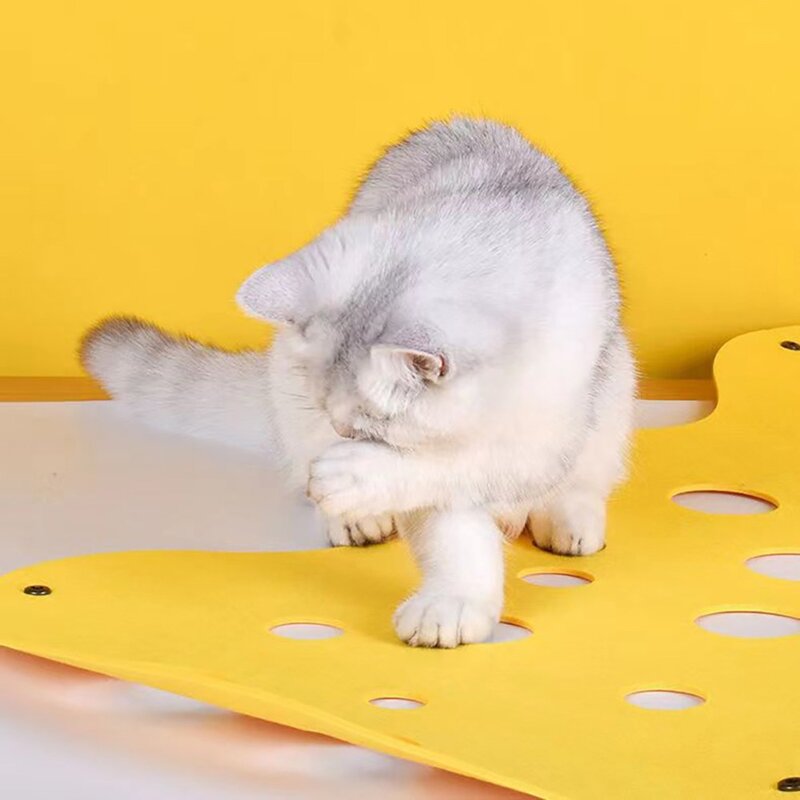 리빙쉘 고양이 숨숨 캣터널, 1개, 오렌지+그레이